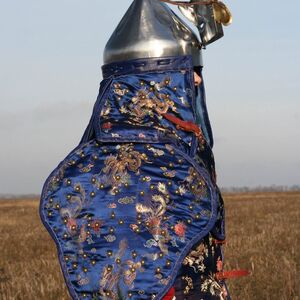EXCLUSIVE FUNCTIONAL MONGOL AND KOREA ARMOUR